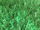 Safe Organic Turf Infill Good recyclability For Sports Field
