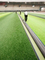 PE Foam Rugby Field Turf Shock Pads Artificial Grass Underlay Double Sided Slotted