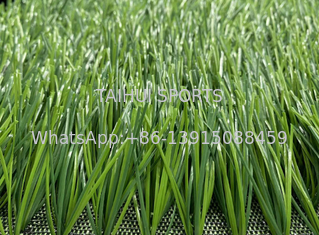 Wear Resistant Outdoor Pet Friendly Artificial Grass Football Field Plastic Green