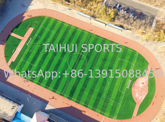 FIFA & FIFA2024 Certified Shock Pad Underlay with Customizable Thickness for Excellent Vibration Absorption in Sports Fields